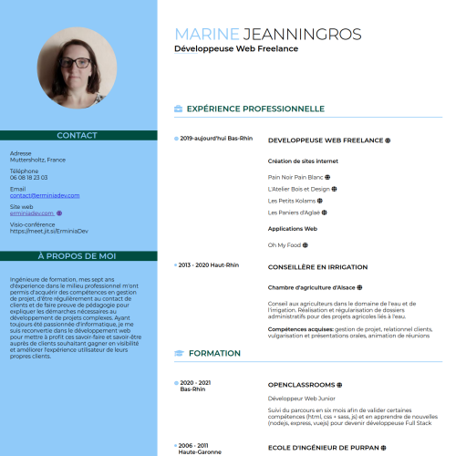 screenshot of online resume